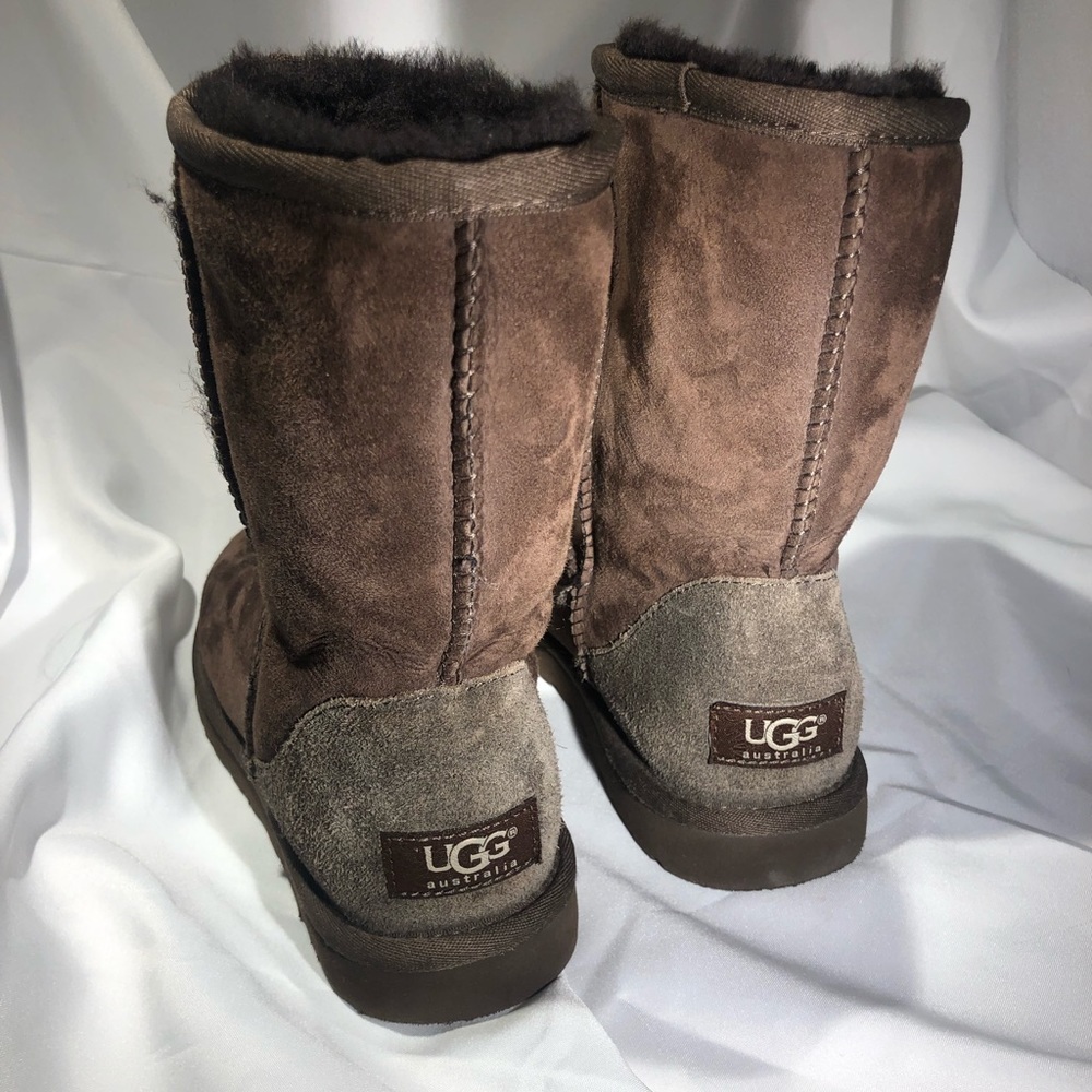 Short Chestnut UGGS
